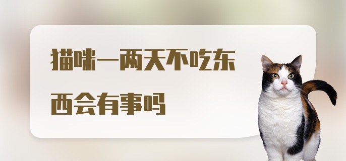 猫咪一两天不吃东西会有事吗