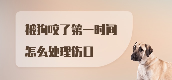 被狗咬了第一时间怎么处理伤口