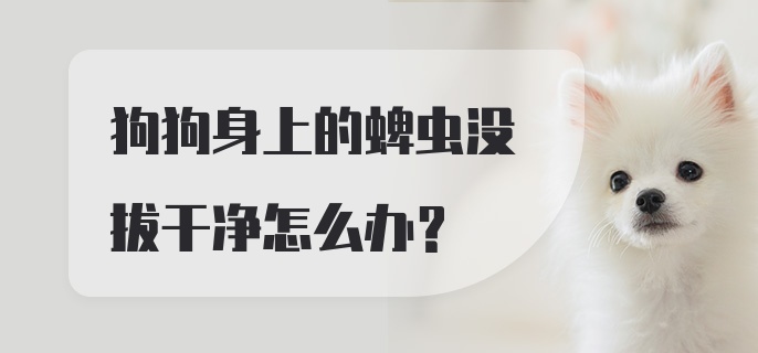 狗狗身上的蜱虫没拔干净怎么办？