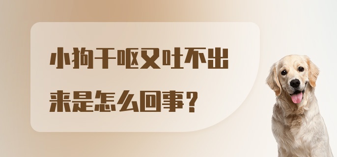 小狗干呕又吐不出来是怎么回事？