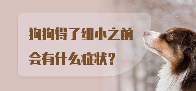 狗狗得了细小之前会有什么症状？