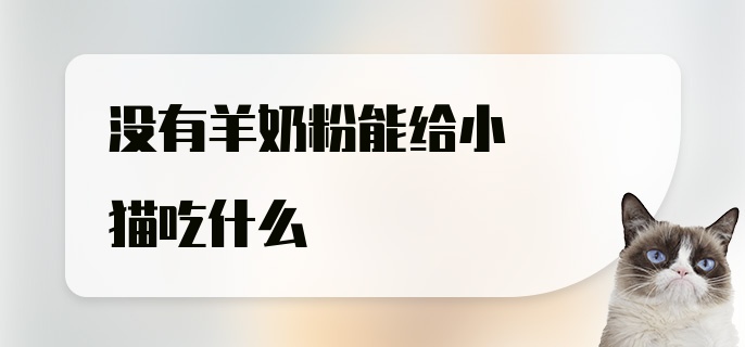 没有羊奶粉能给小猫吃什么