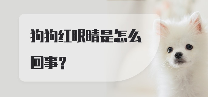 狗狗红眼睛是怎么回事?