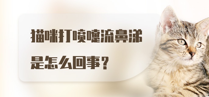 猫咪打喷嚏流鼻涕是怎么回事？