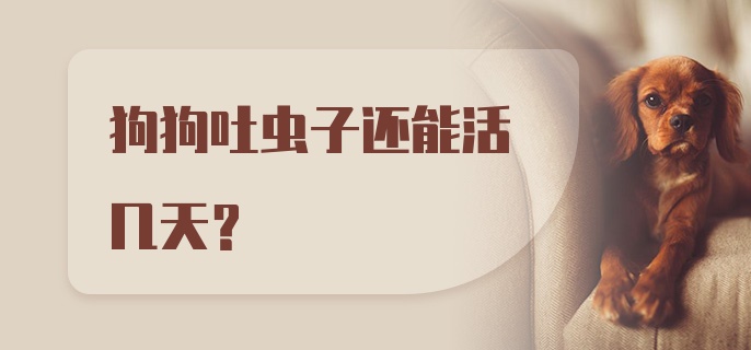 狗狗吐虫子还能活几天？