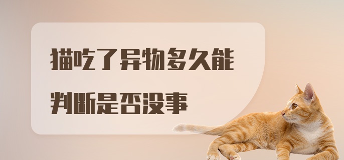 猫吃了异物多久能判断是否没事