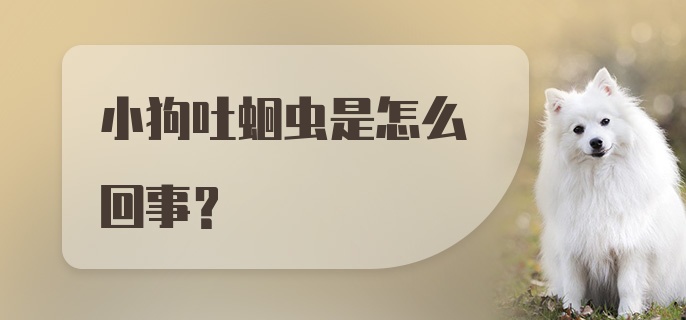 小狗吐蛔虫是怎么回事？