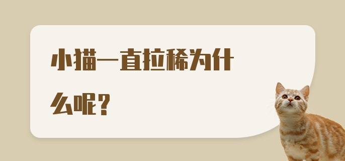 小猫一直拉稀为什么呢？