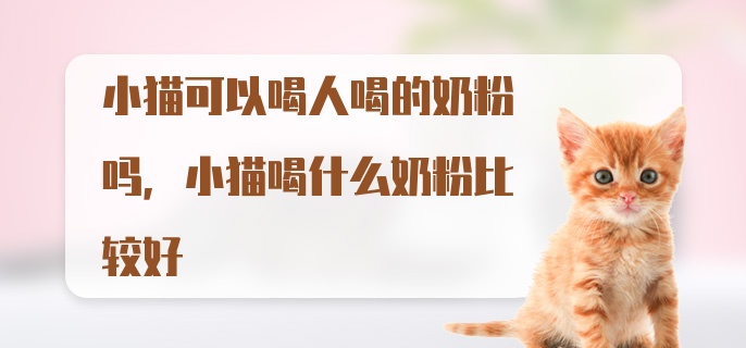 小猫可以喝人喝的奶粉吗，小猫喝什么奶粉比较好