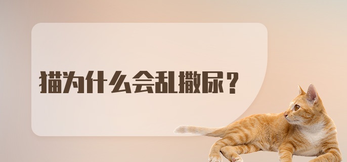 猫为什么会乱撒尿？