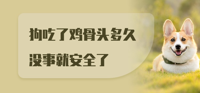 狗吃了鸡骨头多久没事就安全了