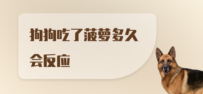 狗狗吃了菠萝多久会反应