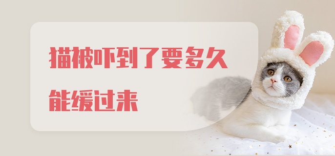 猫被吓到了要多久能缓过来