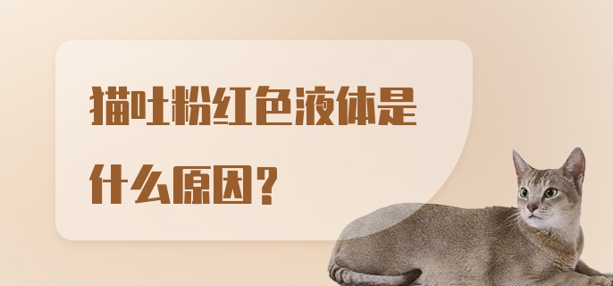 猫吐粉红色液体是什么原因？