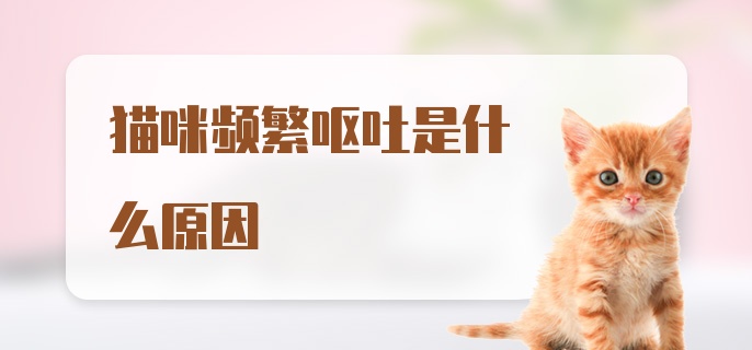 猫咪频繁呕吐是什么原因