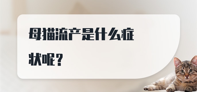 母猫流产是什么症状呢？