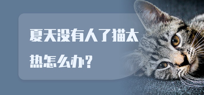 夏天没有人了猫太热怎么办?