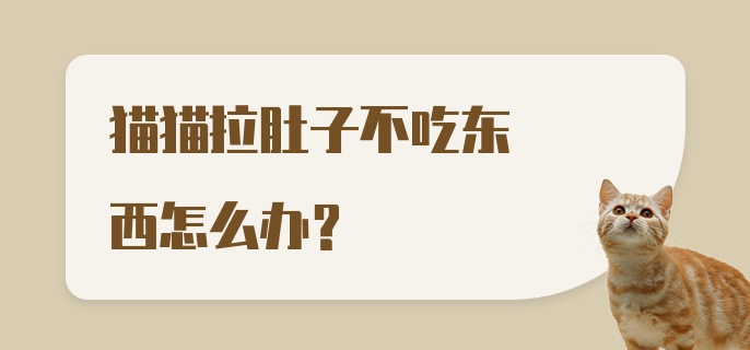 猫猫拉肚子不吃东西怎么办？