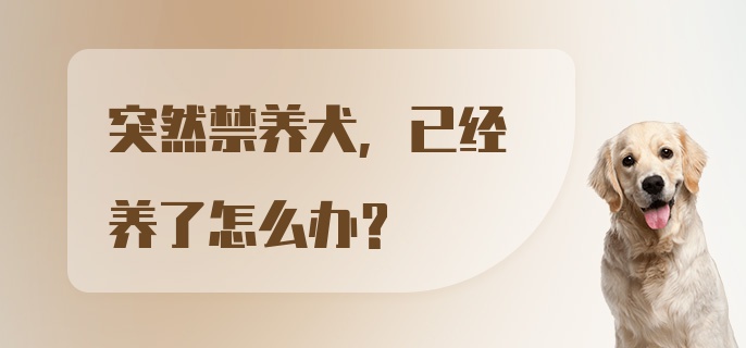 突然禁养犬，已经养了怎么办？