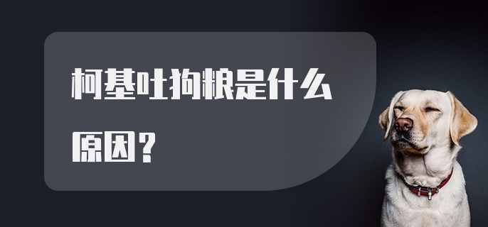 柯基吐狗粮是什么原因？