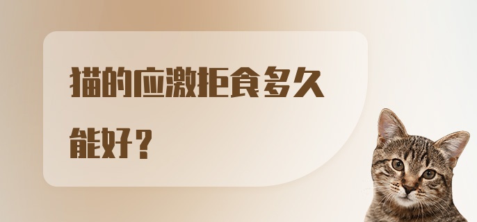 猫的应激拒食多久能好？