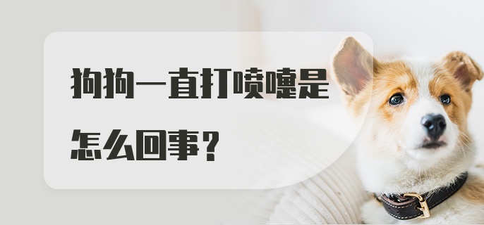 狗狗一直打喷嚏是怎么回事？