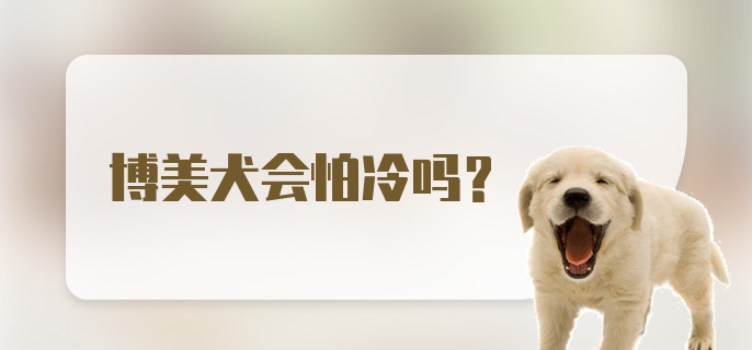 博美犬会怕冷吗？