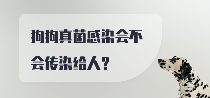 狗狗真菌感染会不会传染给人？