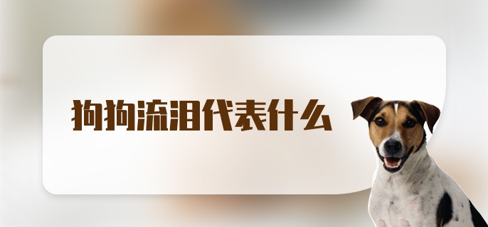 狗狗流泪代表什么