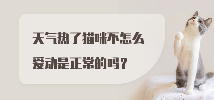 天气热了猫咪不怎么爱动是正常的吗？