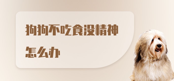 狗狗不吃食没精神怎么办