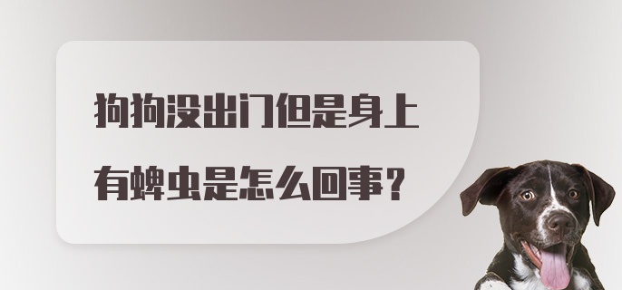 狗狗没出门但是身上有蜱虫是怎么回事？