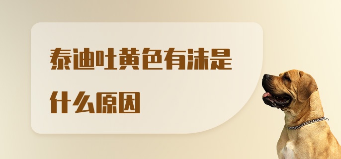 泰迪吐黄色有沫是什么原因