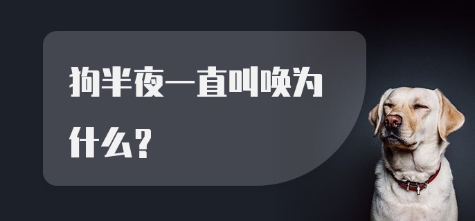 狗半夜一直叫唤为什么？