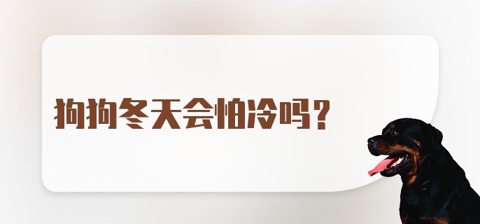 狗狗冬天会怕冷吗？