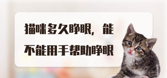 猫咪多久睁眼，能不能用手帮助睁眼