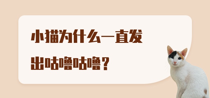 小猫为什么一直发出咕噜咕噜？