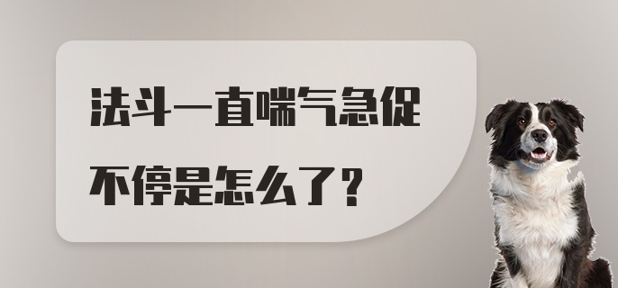 法斗一直喘气急促不停是怎么了？