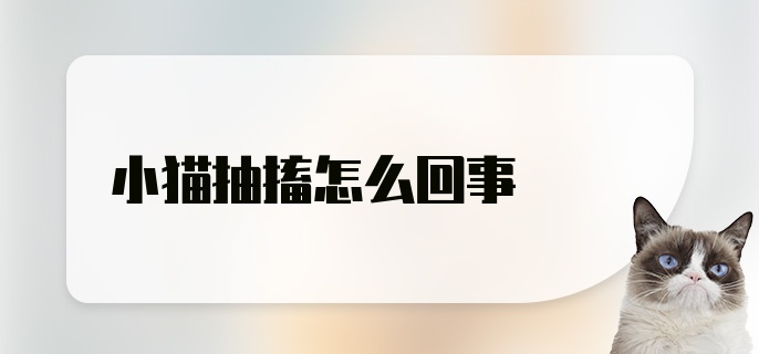 小猫抽搐怎么回事