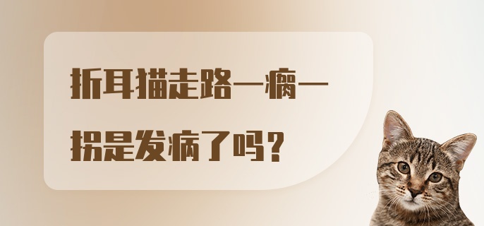 折耳猫走路一瘸一拐是发病了吗？