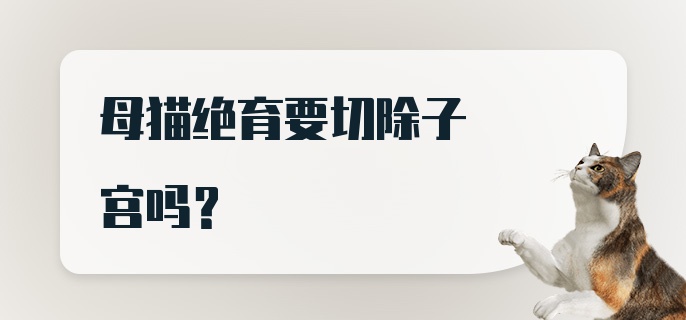 母猫绝育要切除子宫吗？