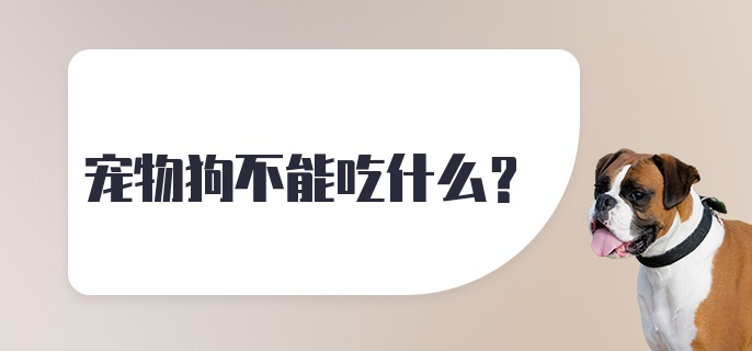 宠物狗不能吃什么？