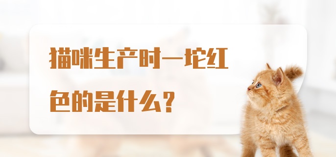 猫咪生产时一坨红色的是什么？