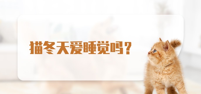 猫冬天爱睡觉吗？