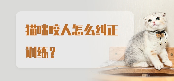 猫咪咬人怎么纠正训练？