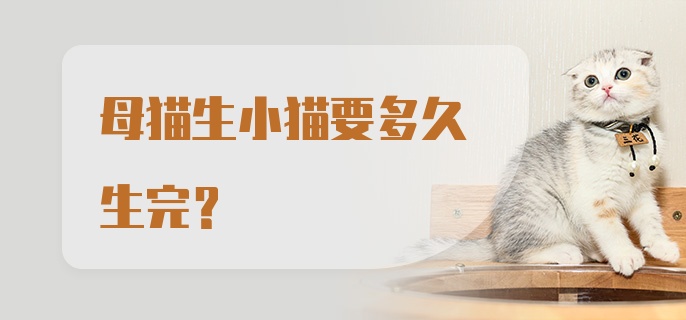 母猫生小猫要多久生完？