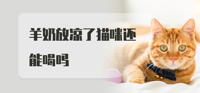 羊奶放凉了猫咪还能喝吗