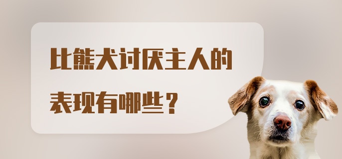 比熊犬讨厌主人的表现有哪些？