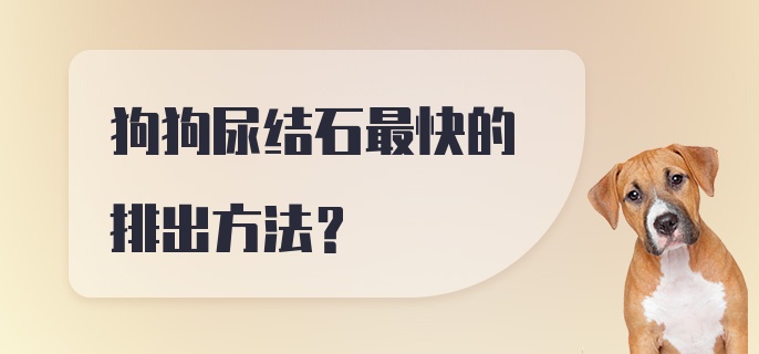 狗狗尿结石最快的排出方法？