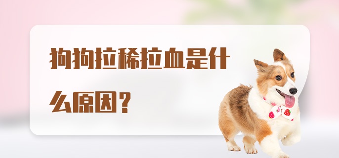 狗狗拉稀拉血是什么原因？